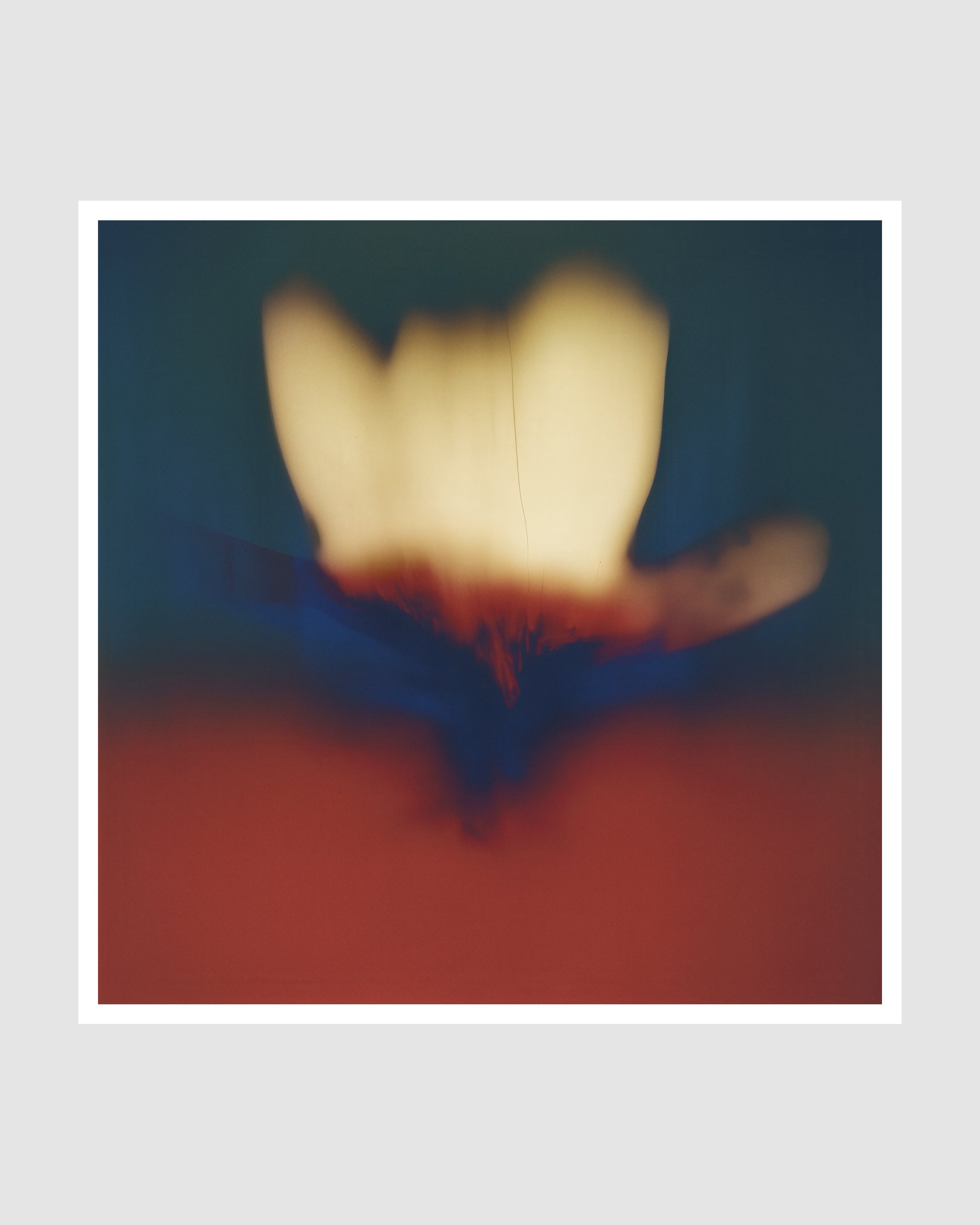 Composia Near the Embers II