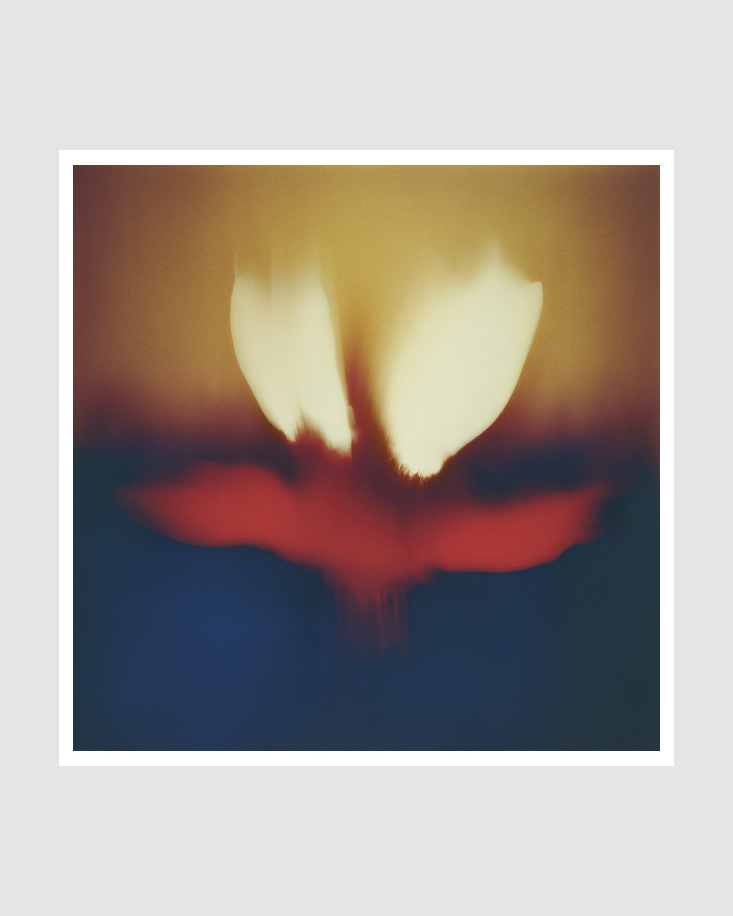 Composia Near the Embers IV