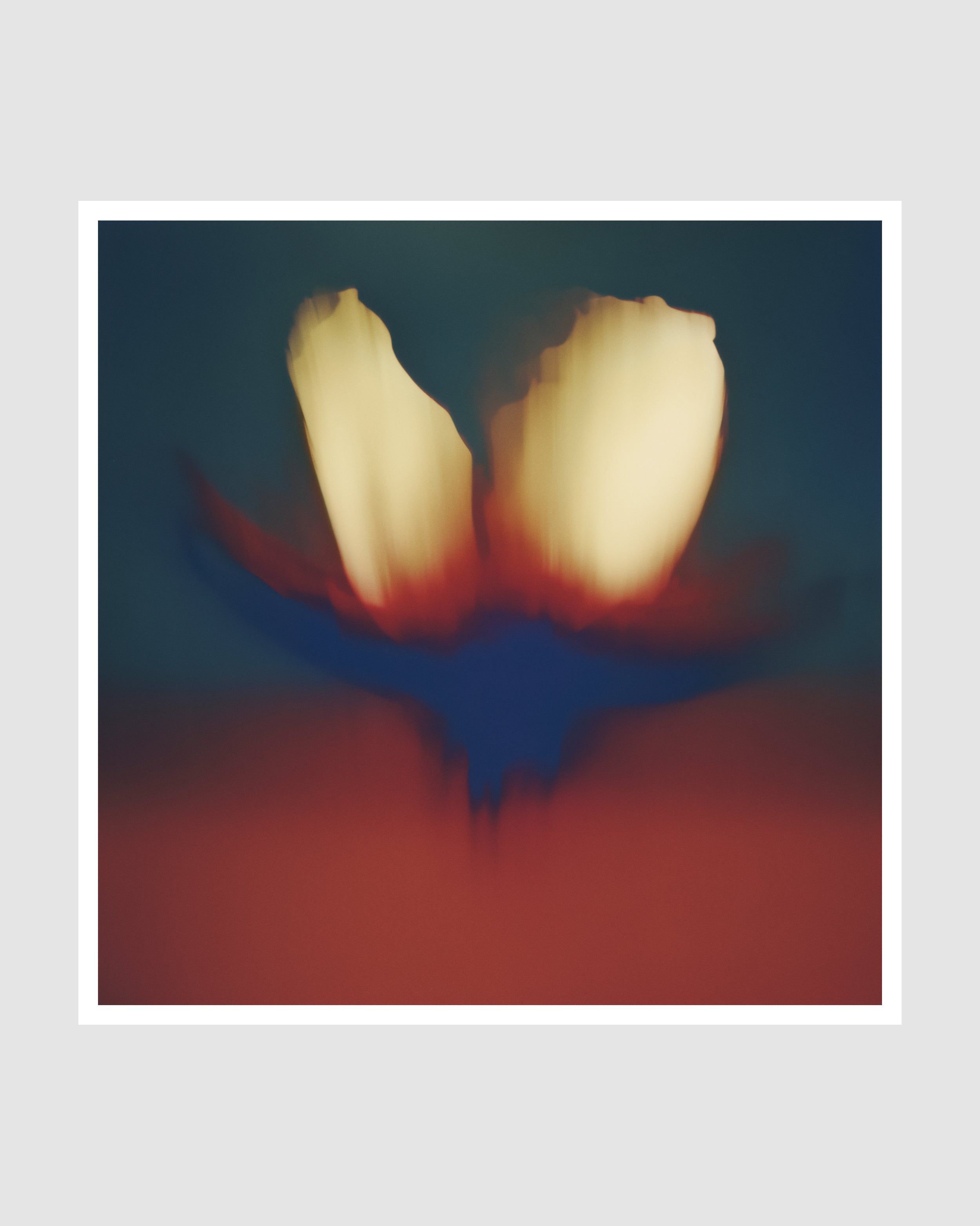 Composia Near the Embers I