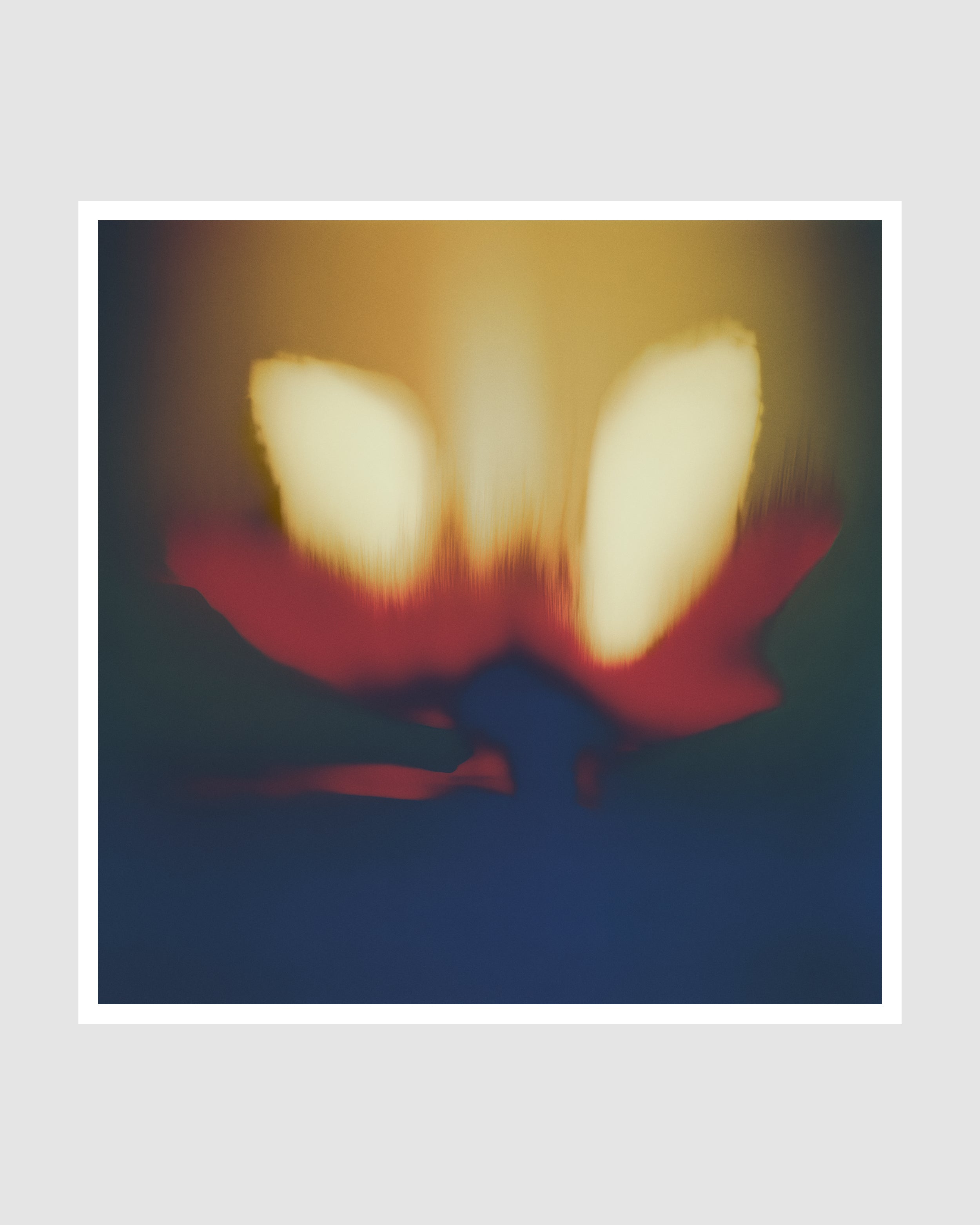 Composia Near the Embers III