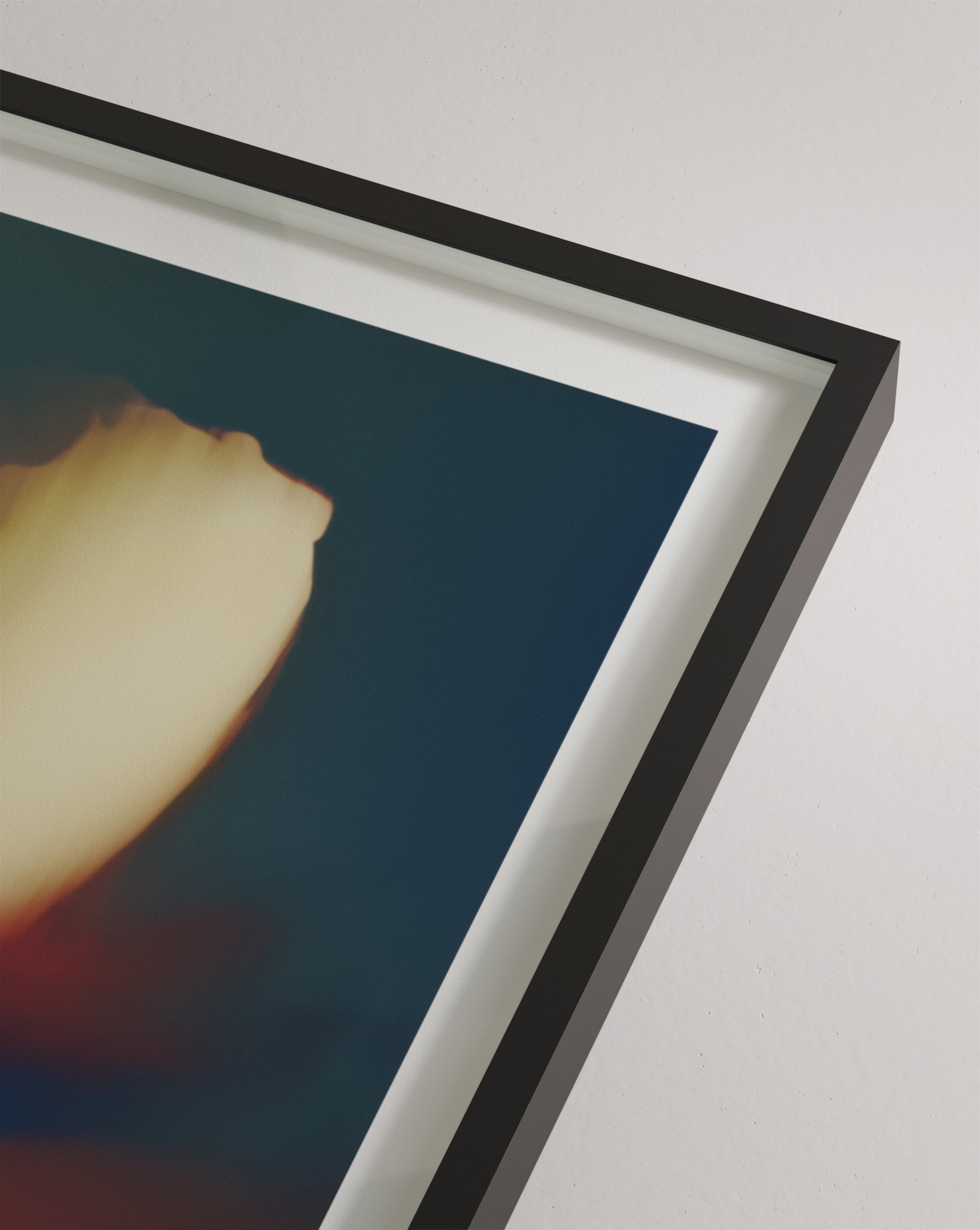 Composia Near the Embers I