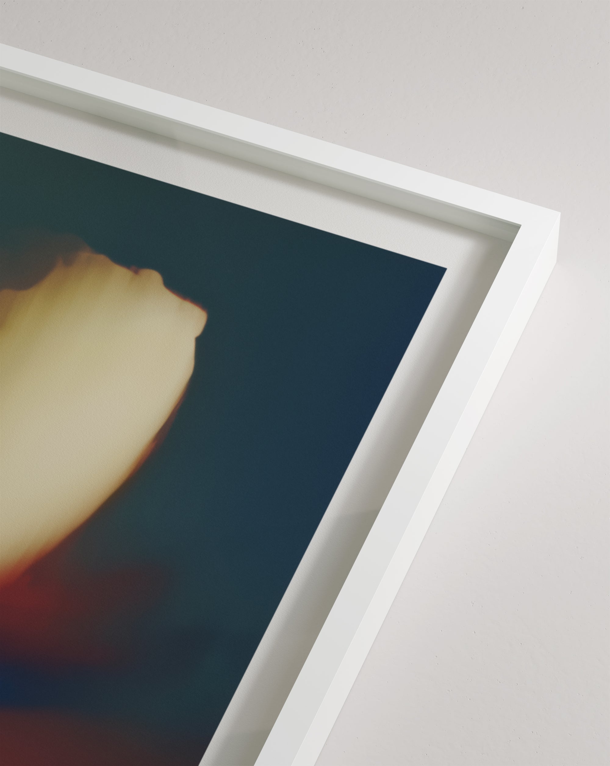 Composia Near the Embers I