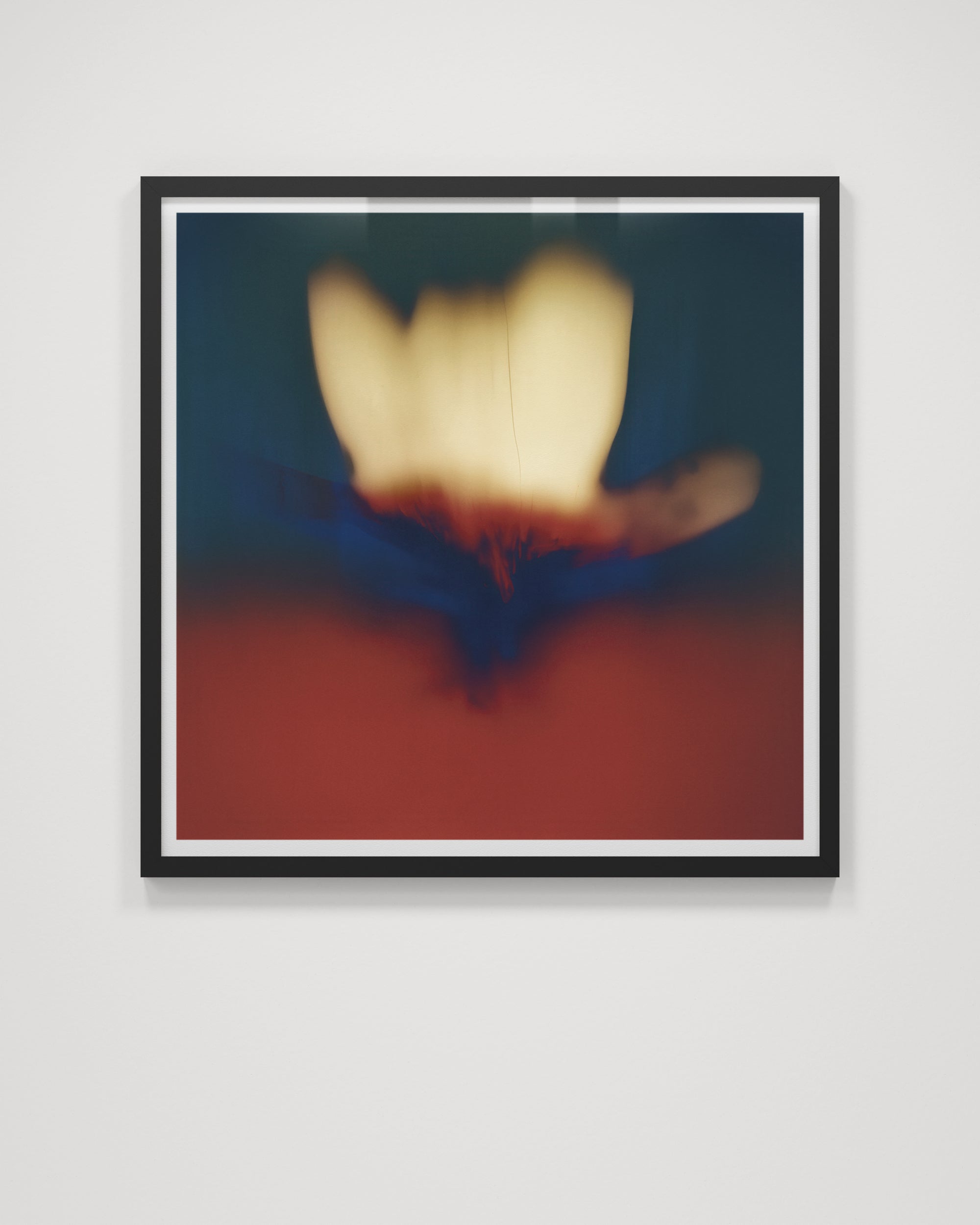 Composia Near the Embers II