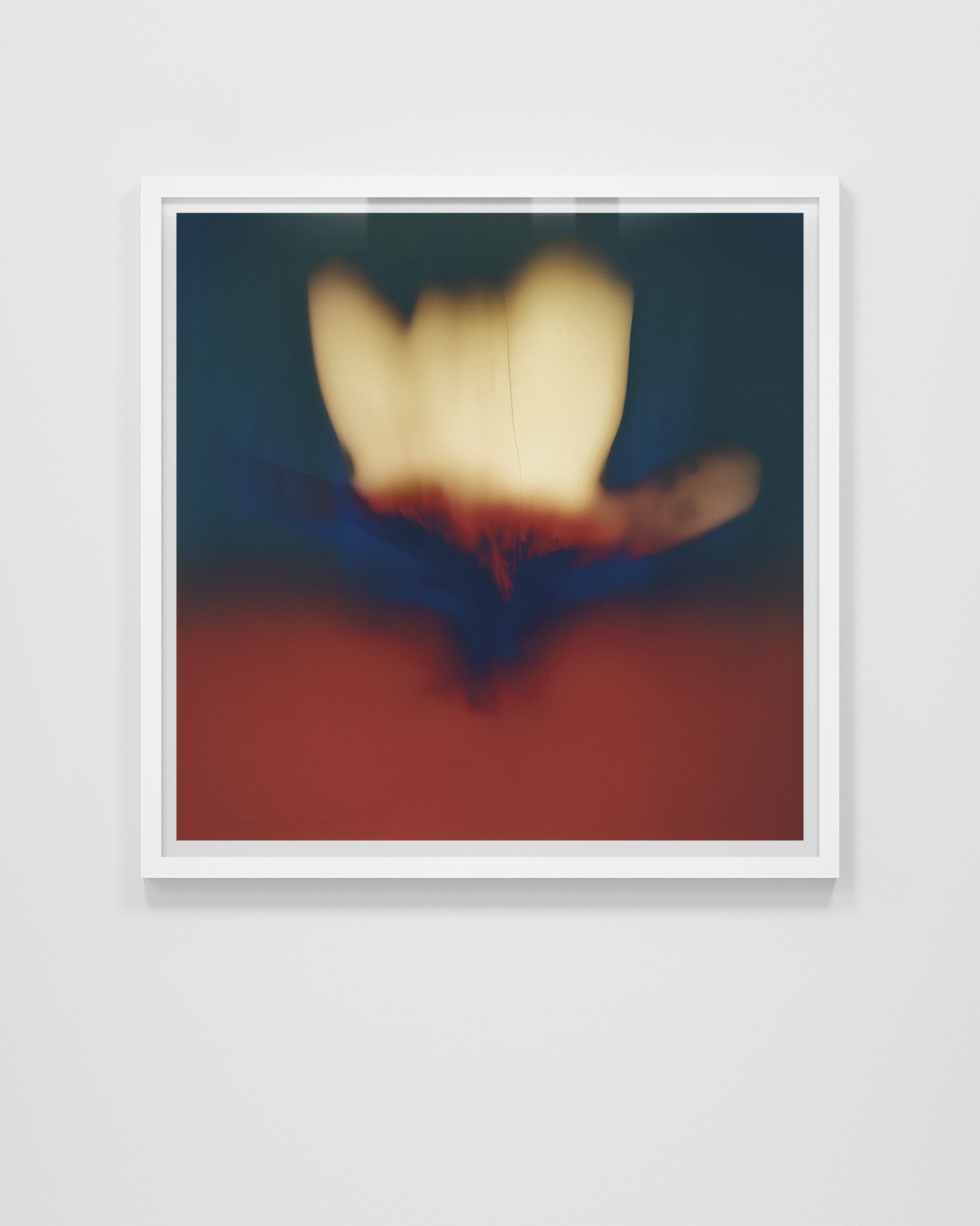 Composia Near the Embers II