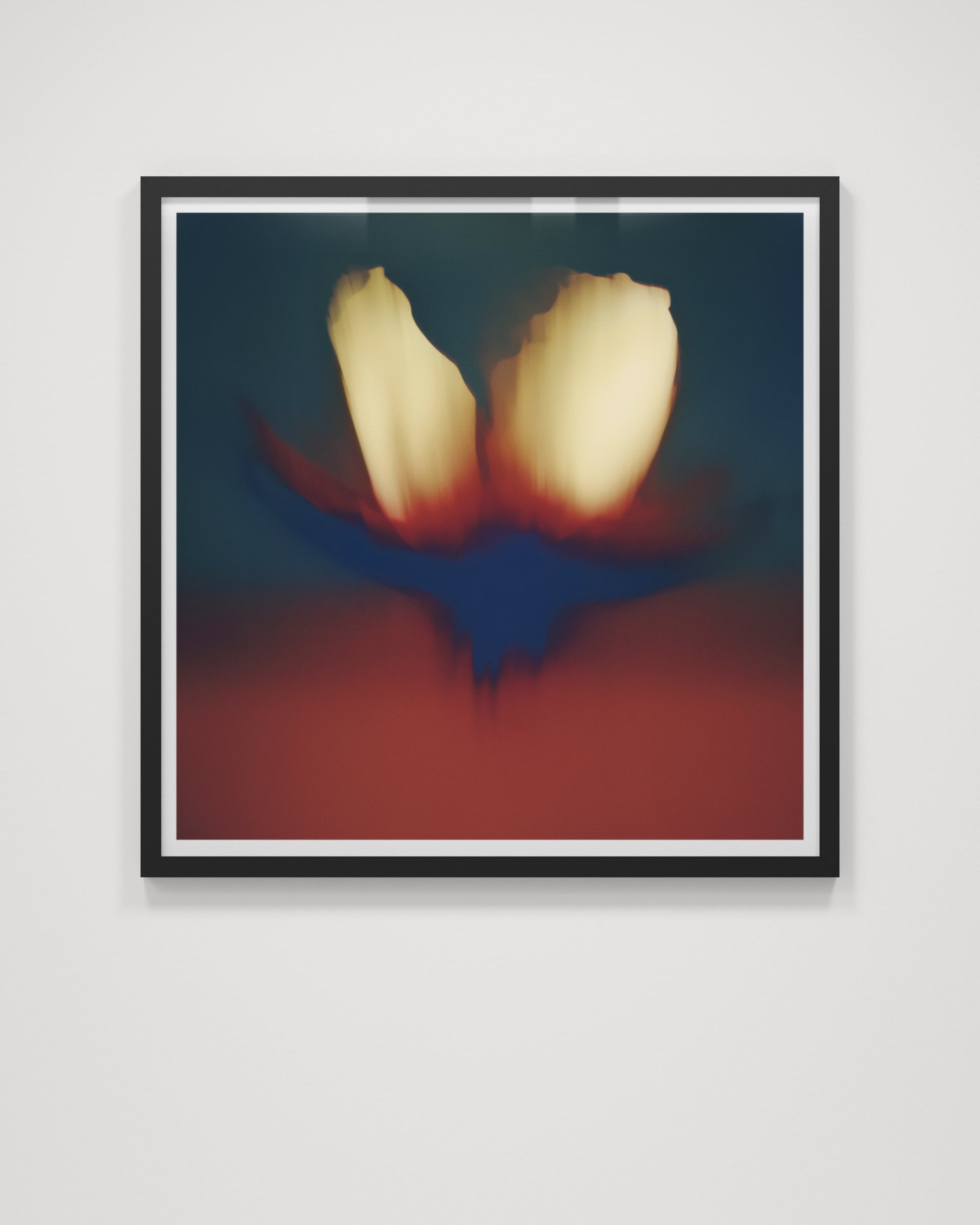 Composia Near the Embers I