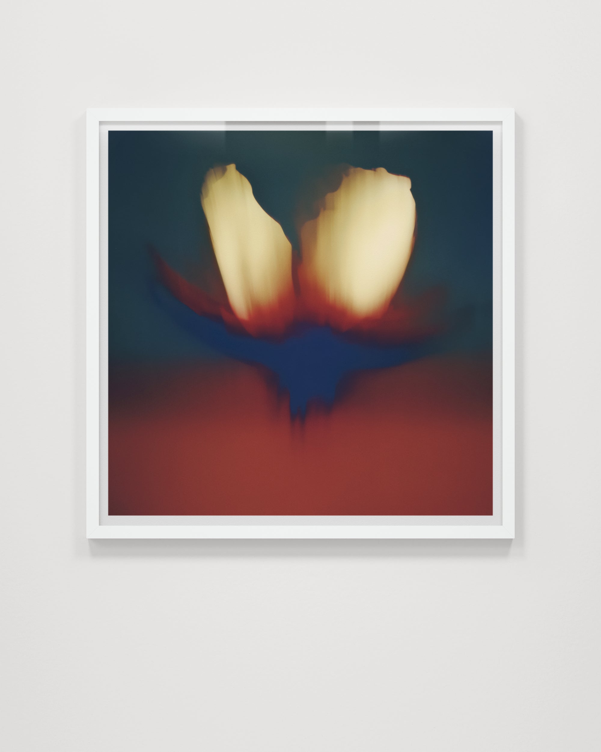 Composia Near the Embers I