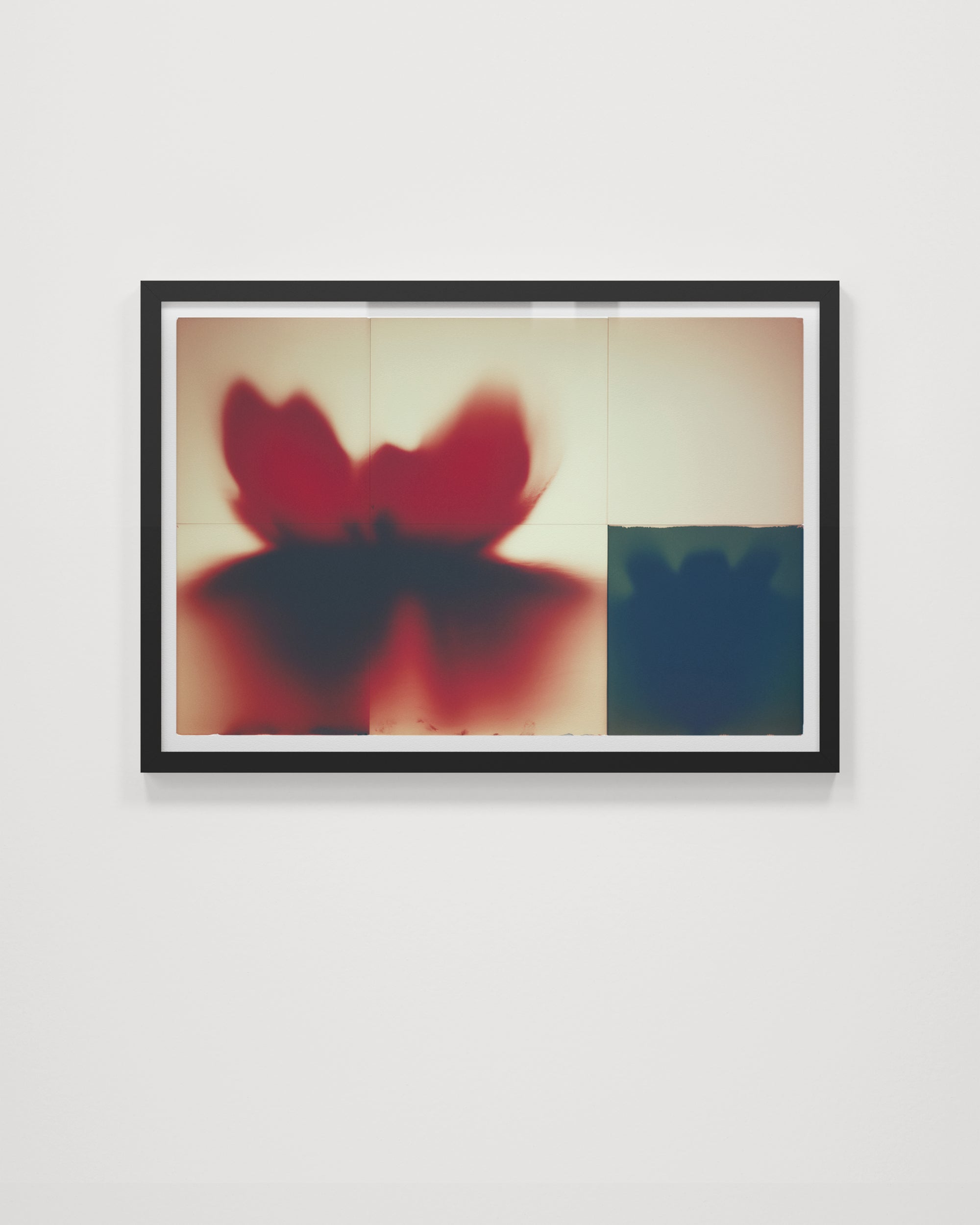 Panel Studies (Untitled V)