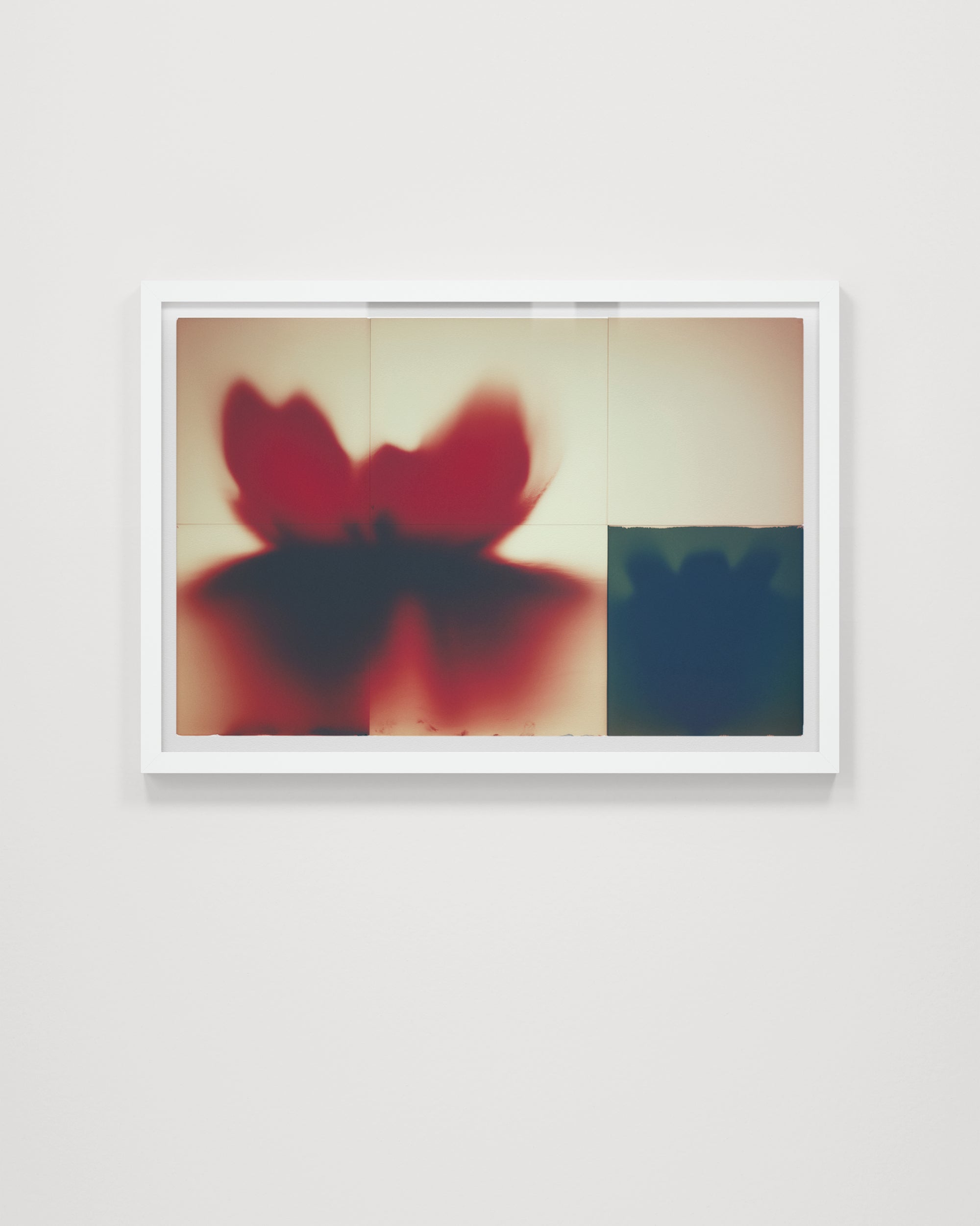 Panel Studies (Untitled V)