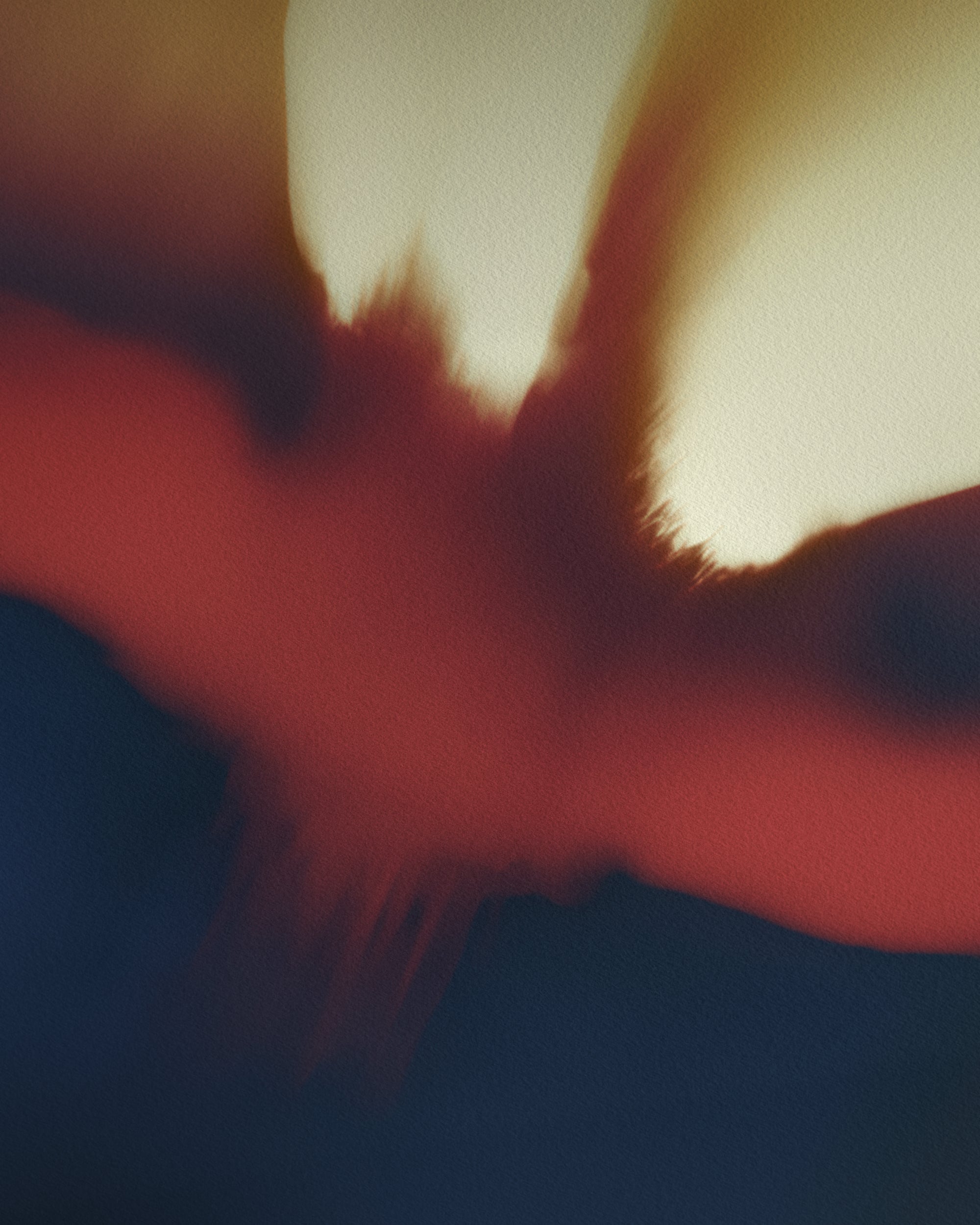 Composia Near the Embers IV