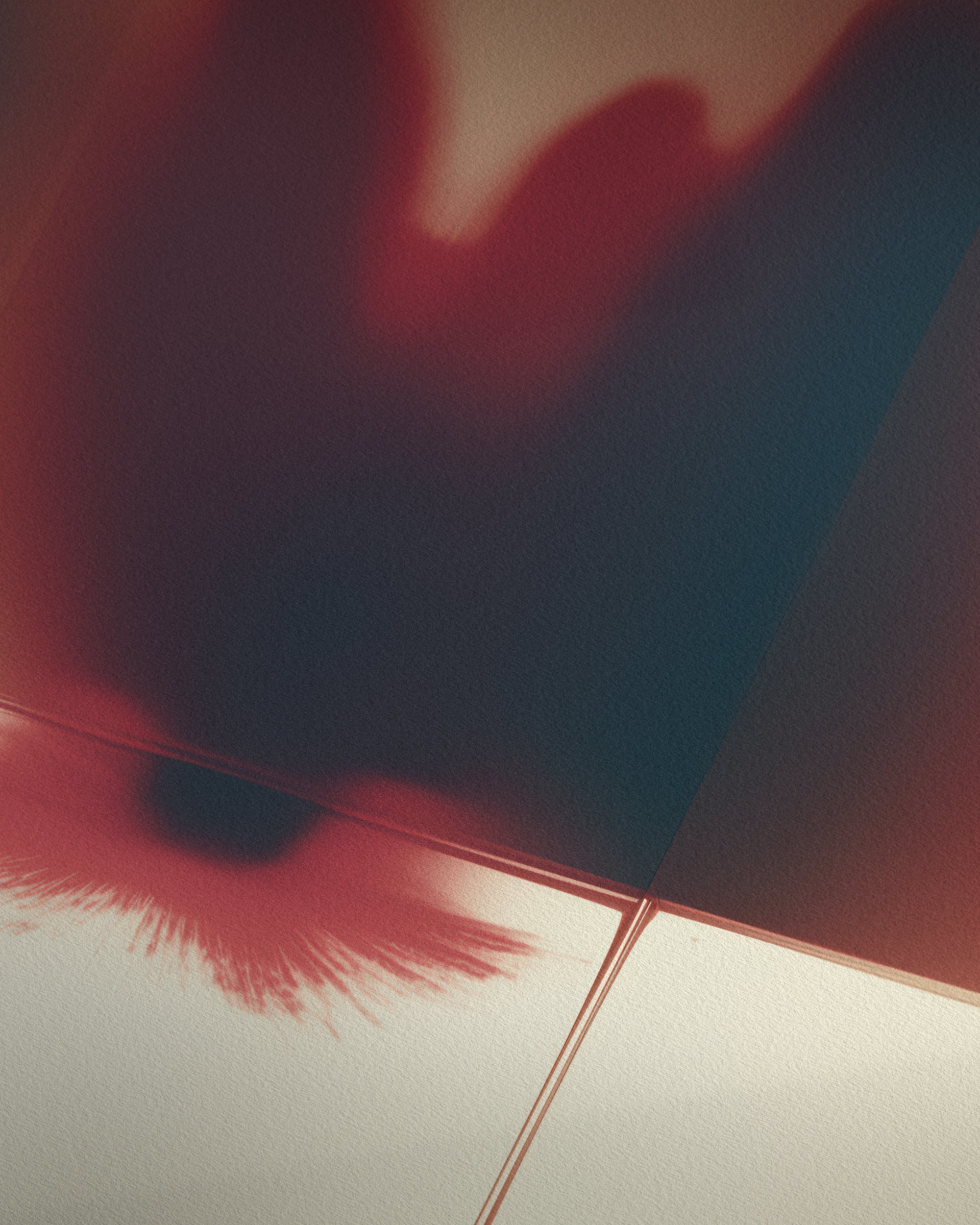 Panel Studies (Untitled I)