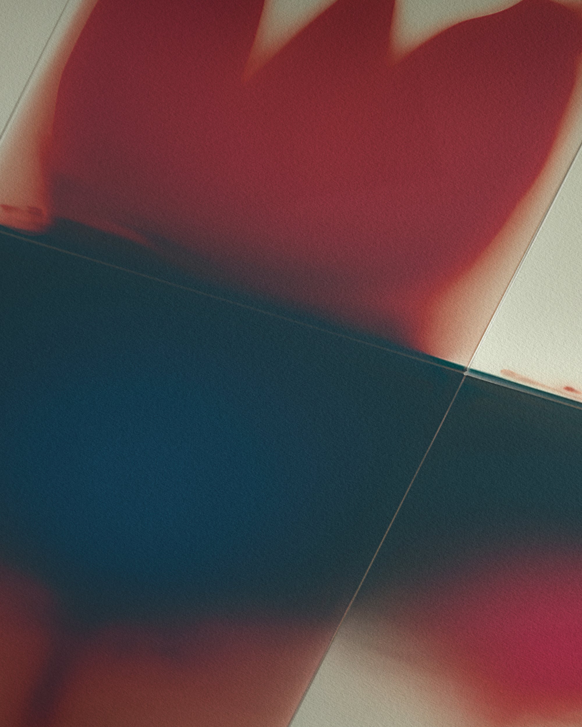 Panel Studies (Untitled II)