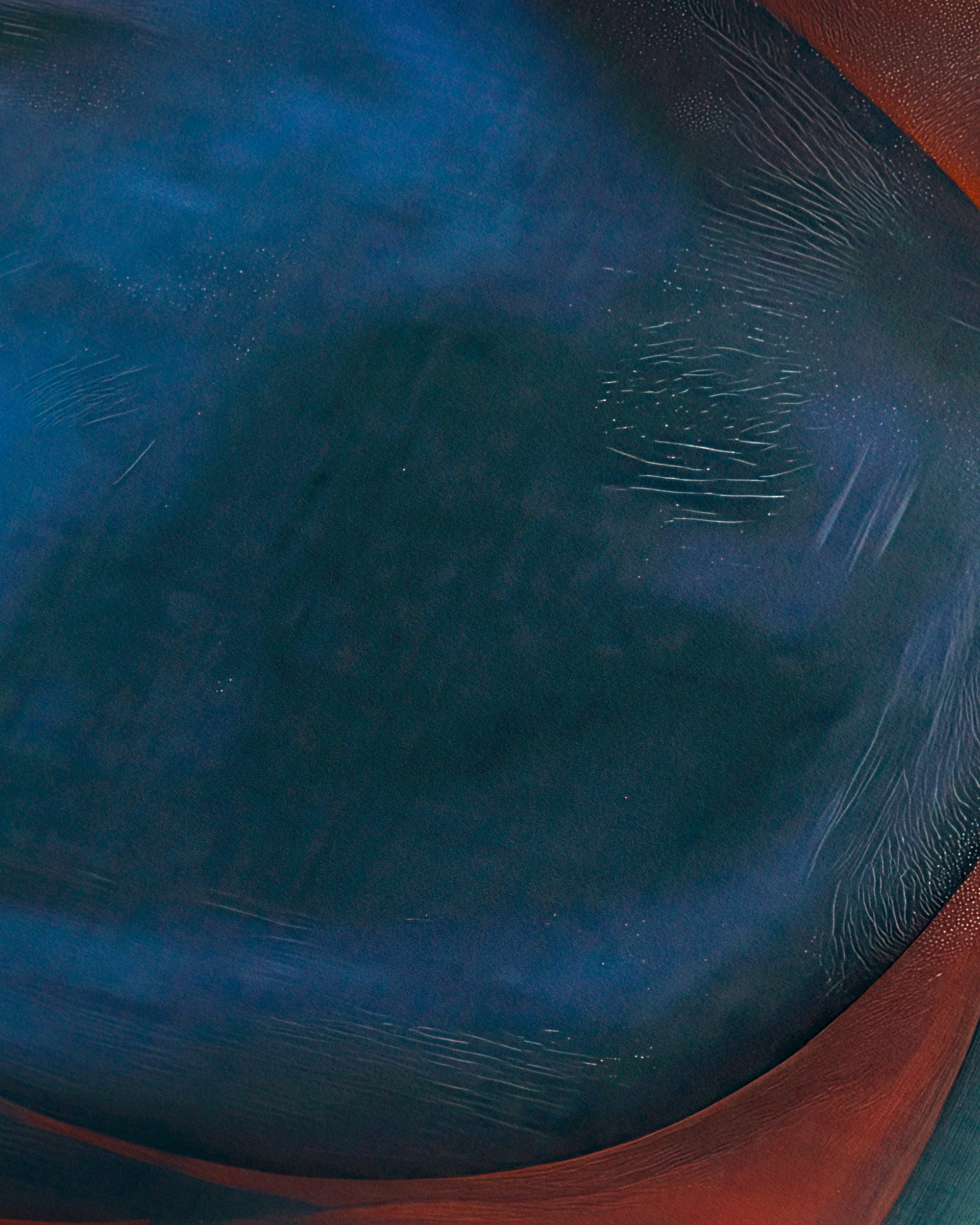 Whale in the Red Sea